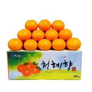 제주 감귤 천혜향 10kg 로얄과 (32-45입)