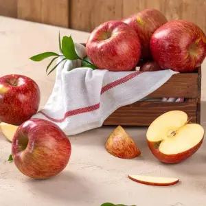 제철! 달콤한 경북 부사사과 4kg 대과 15과 내외