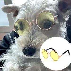 번짐없는 산책 접이식 사진 강아지 고양이 선글라스 옐로우