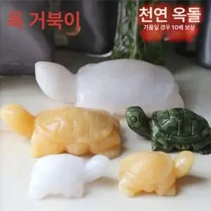 옥거북이 행운 장수