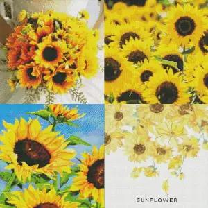 하니아트 566MZQ34 보석십자수 해바라기 시리즈 캔버스형