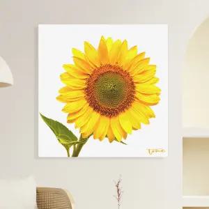 인테리어 액자 황금 해바라기 골드 그림액자 두꺼비집 가리개 8.풍수 화이트해바라기한송이