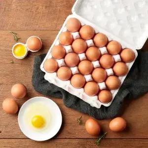 난각번호 1번 자연방사 무항생제 유정란 40구