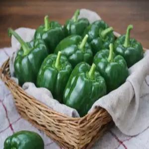 국내산 아삭하고 신선한 청피망 5kg 보통 상