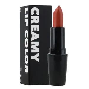 매끄럽게 윤기를 부여해주는 립스틱 112 레드브라운