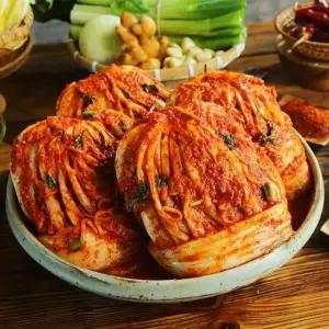 해남 땅끝마을 쌍둥이네 포기김치 10kg