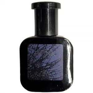 강렬 자신감 넘치는 시트러스 스파이스 남성향수 15ml