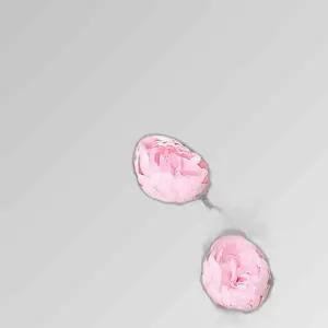 조화장식 플라워월 포토존 인테리어조화 포토월 벽