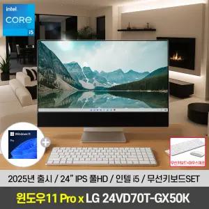 [윈도우11프로 설치] LG 일체형 PC 24VD70T-GX50K 올인원 데스크탑 컴퓨터