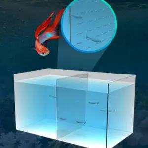 아크릴 수조 어항 물고기 칸막이 구피 격리 분리 치어
