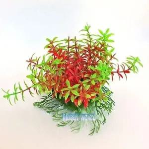 [콩심팥심]중 수족관용 장식품 묶음조화