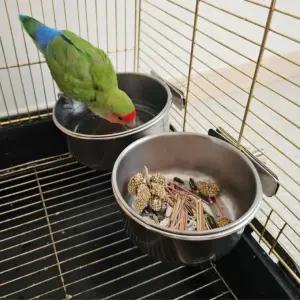 걸이형 스텐 앵무새 모이통 대 물통 목욕 밥그릇