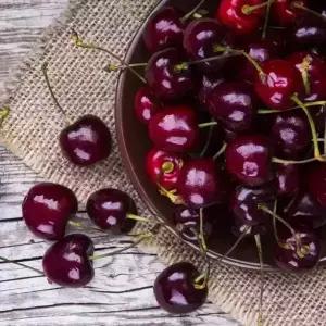 [거북농산]  칠레산 체리 2.5kg  - 옵션선택