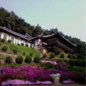 [경북 모텔] 안동 고택 이상루 (안동(경북도청,하회마을))