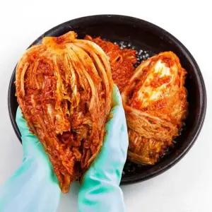 전라도 포기김치 10kg