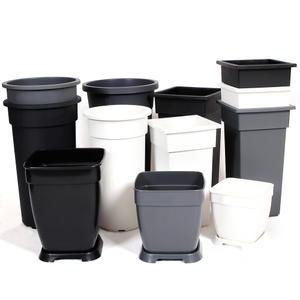 지오리빙 대형 플라스틱 화분 인테리어 분갈이 원형 사각 호접란 홈가드닝 반려식물