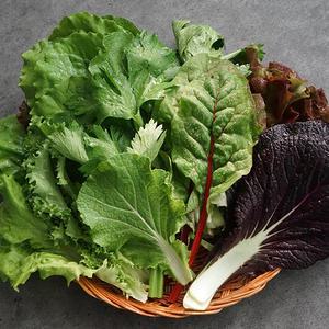 친환경 유기농 모듬 쌈채소 샐러드 채소 600g 1kg