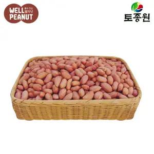 토종원 햇 생알땅콩 1kg x 3 전북고창 선운산농협