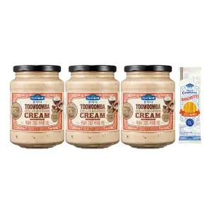 폰타나 투움바 머쉬룸크림 파스타소스, 430g, 3개 + 이탈리아 캄파니아 스파게티 500g,1개