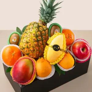 [프루미츠] 감사함 가득 혼합과일8종 선물세트 1호 4.9kg, 2호 4kg