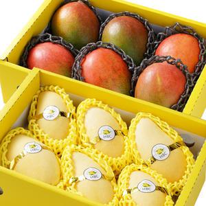 옐로우 기프트 태국망고 애플망고 설 명절 혼합 과일 선물세트