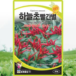 세계종묘 하늘초빨간별 씨앗 30립 매운맛 꽃고추씨 이색고추 종자