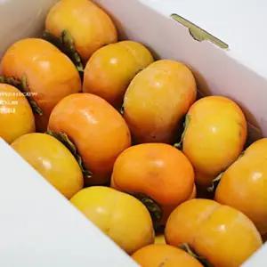 황금열매 차량 부유 상서 단감 10kg 55-60과