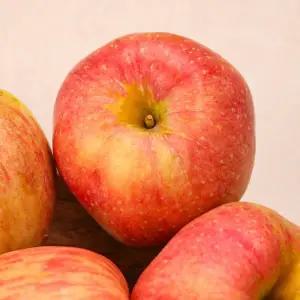 [바른씨]맛있는 못난이사과 부사 꼬마 3kg(20~27과) 경북사과 빨간 사과