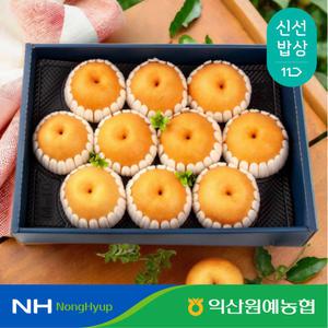 [익산원예농협] 배 프리미엄 명절 선물 세트 7.5kg 특 10과 내외