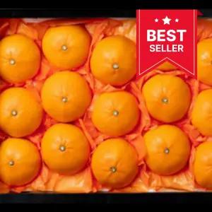 [2026 설 선물 추천] 명품 레드향 과일 선물세트