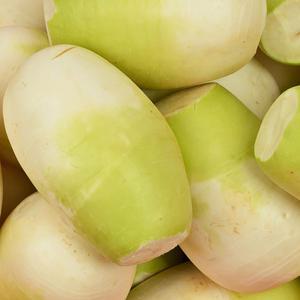 [더조은푸드] 아삭아삭 제주 세척 월동무 5kg 10kg (개당 800-1200g)