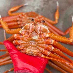 선주선별 자숙 박달 홍게 고급형 4kg 8~10마리내외