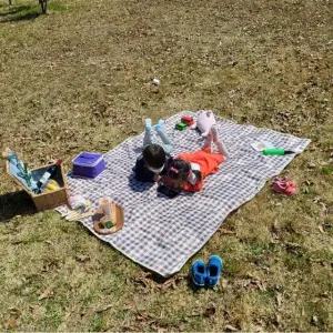 방수 체크무늬 중형 피크닉 돗자리 매트 초콜렛 (WFGTDZS)