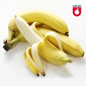 필리핀산 고당도 바나나 13kg내외
