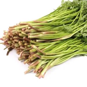 [산지직송] 향긋한 국내산 미나리 1kg