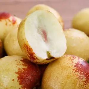 사과대추 1kg 프리미엄 대추 아삭한 사과대추