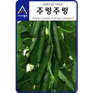 다수확 오이씨앗 주렁주렁 10립 오이종자 오이 씨앗 종자 종묘 모종