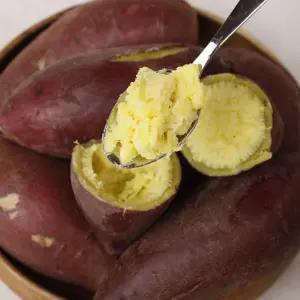 김의준고구마 25년 영암 세척 퍽퍽한 밤고구마 3kg 5kg 신품종 25호