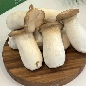 국내산 새송이버섯 특품 가정용 업소용 새송이 2kg