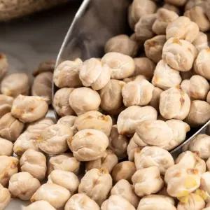 캐나다산 병아리콩 10kg (5kg+5kg) - 정성든농수산