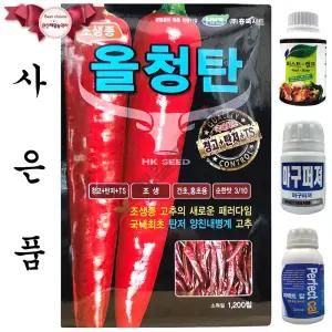 올청탄 1200립 흥국씨드 26년 고추씨앗