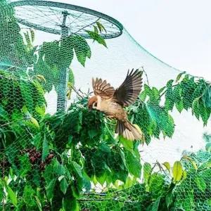 농작물 보호망 과수원 논밭 양식장 새그물 방조망 (WFJ5P1R)