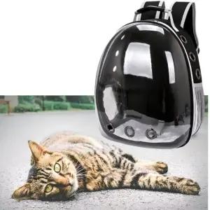 투명 고양이 이동장 가방 반려동물 외출 백팩 캐리어 (WFJ5XDO)