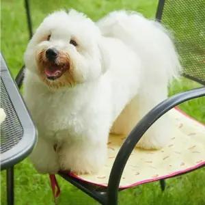 휴대용 강아지 방수 야외매트 논슬립 애견 산책매트 (WFJ6X9A)