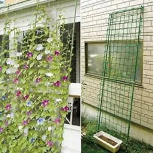 오이 그물망 지지망 호박 넝쿨 유인망 원예 식물 넝쿨 (WFK92Z5)