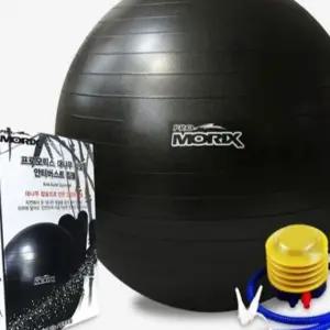 L20 스트레칭짐볼 프로모릭스 안티버스트 65Cm 발펌프