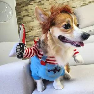 애견 처키 강아지 L 옷 할로윈 코스튬 (WFKBLH7)