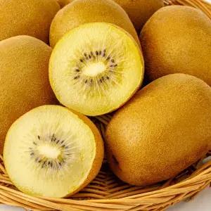 [엠디] 싱그러움이 한가득 국내산 골드키위 2kg