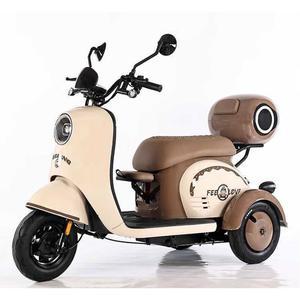 전동스쿠터 출퇴근 미니 삼륜 자토바이 10A 성인용 미니스쿠터 2인승전기차