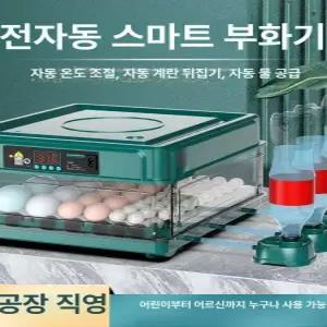 계란부화기 메추리 부화기 달걀 닭 자동 키우기